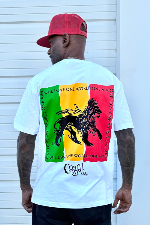 Cooyah One World reggae graphic tee with Ethiopian flag and Lion of Judah screen printed on the back.  